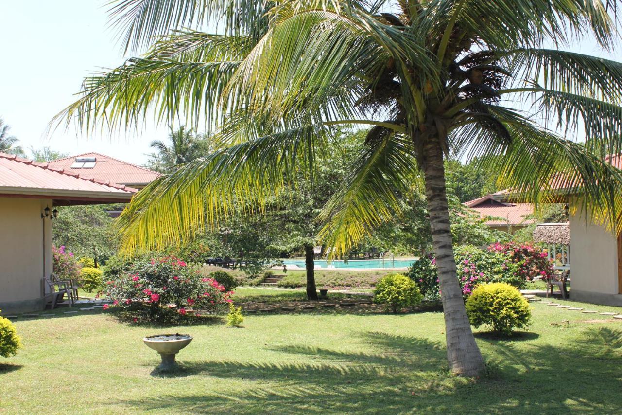 Hibiscus Garden Hotel Тиссамахарама Экстерьер фото