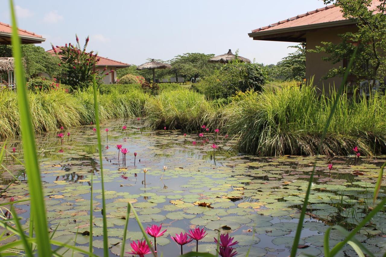 Hibiscus Garden Hotel Тиссамахарама Экстерьер фото