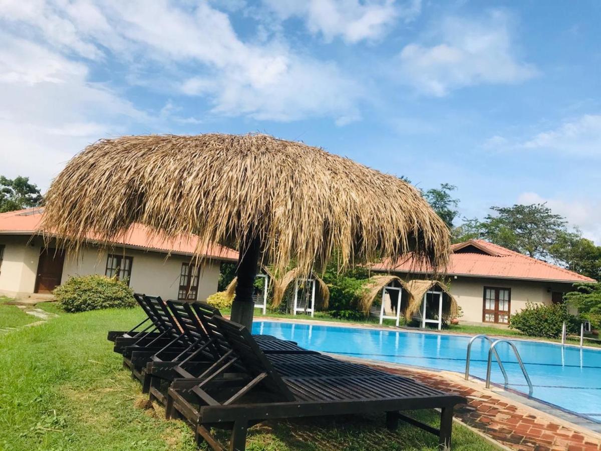 Hibiscus Garden Hotel Тиссамахарама Экстерьер фото